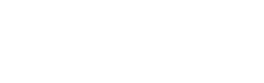 Transparency International Italia logo bianco